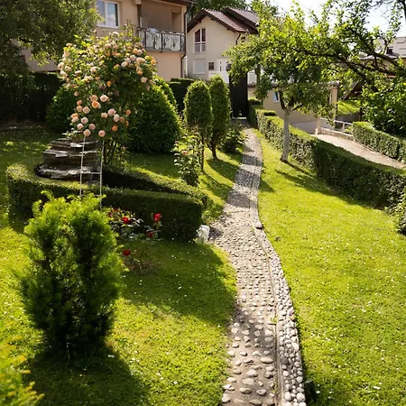 Hill Apartment